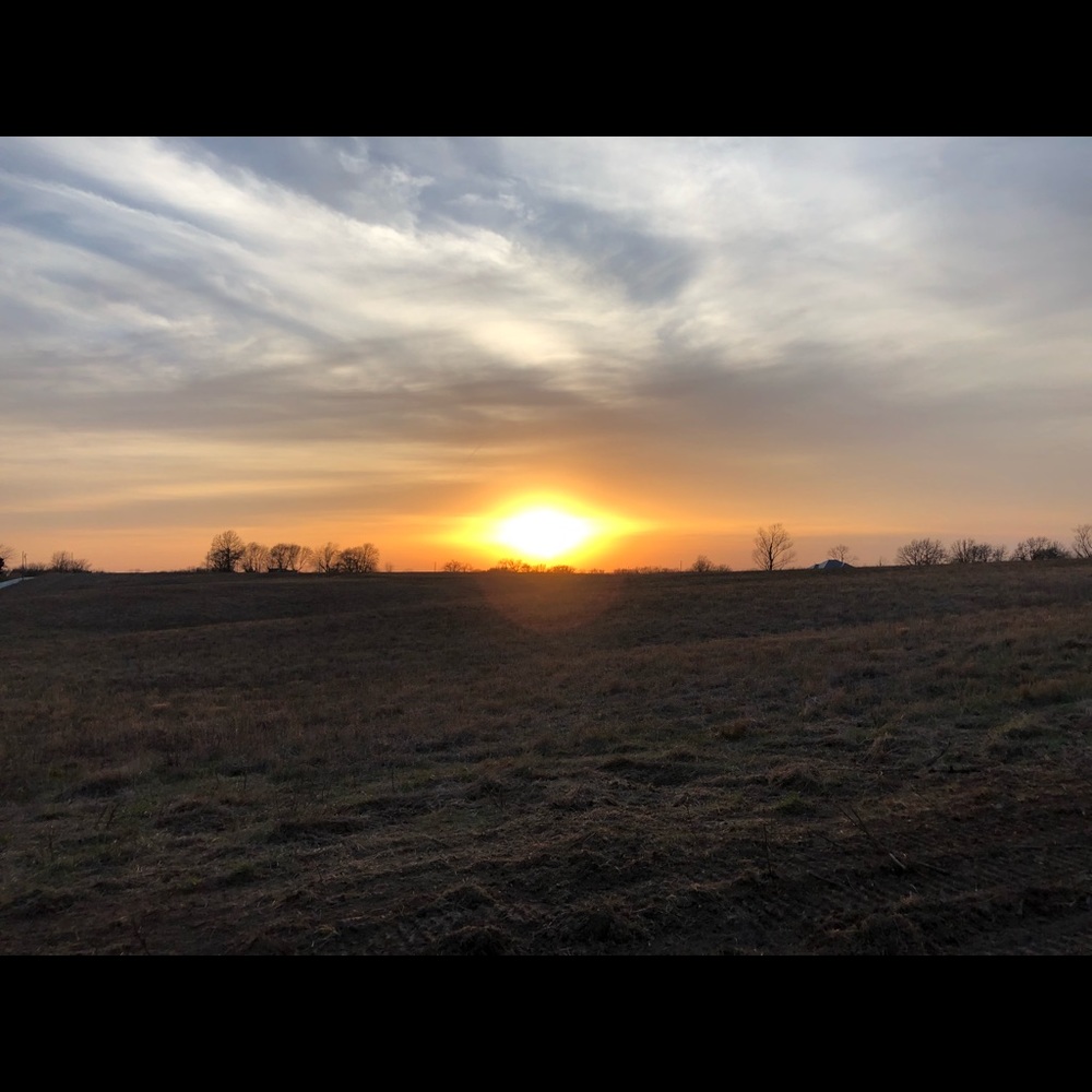 Meet your Posher, Maggie